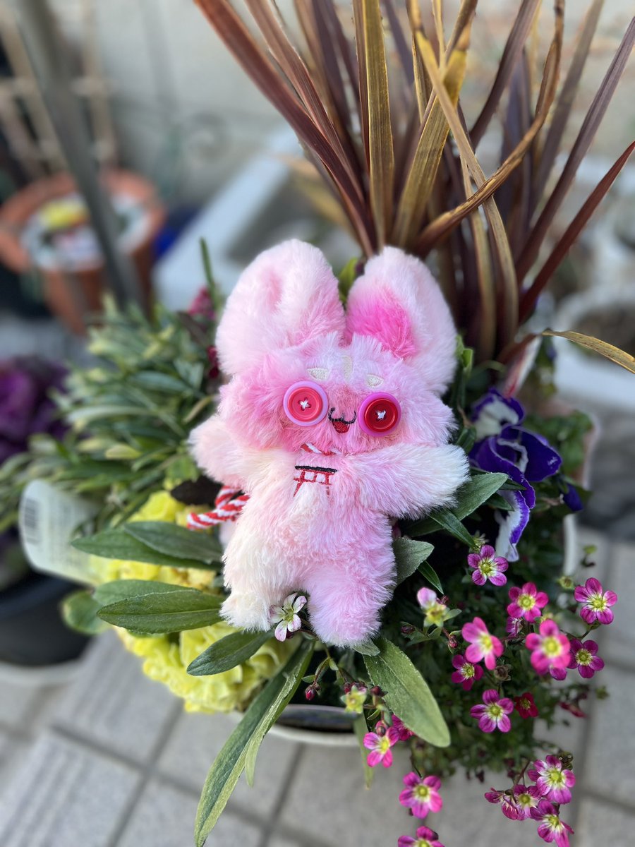 身代わり幻獣ぬいぐるみ版 すとちーちゃんのお家探しをメルカリ