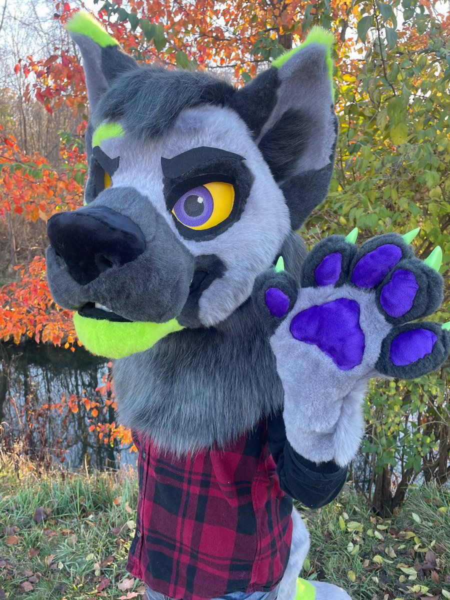 ⭐️redstar 🔜 AO, FWA tweet media