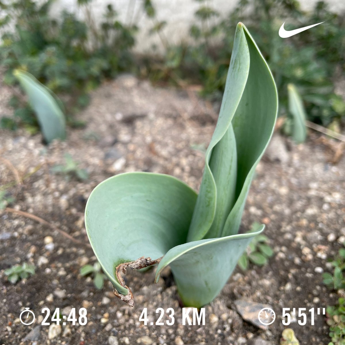 Shinta-Low tweet media