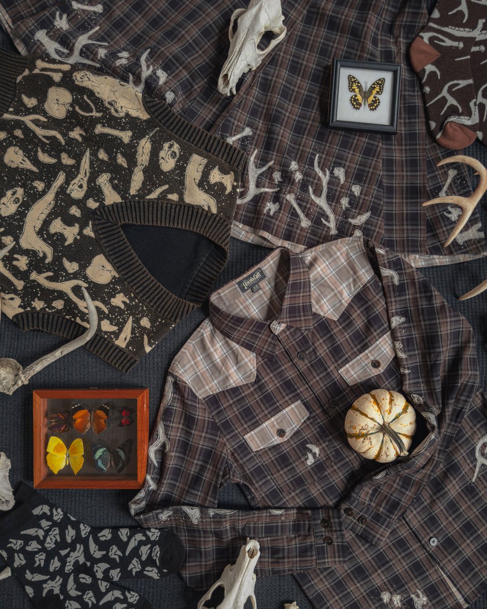 Hushfall Archives tweet media