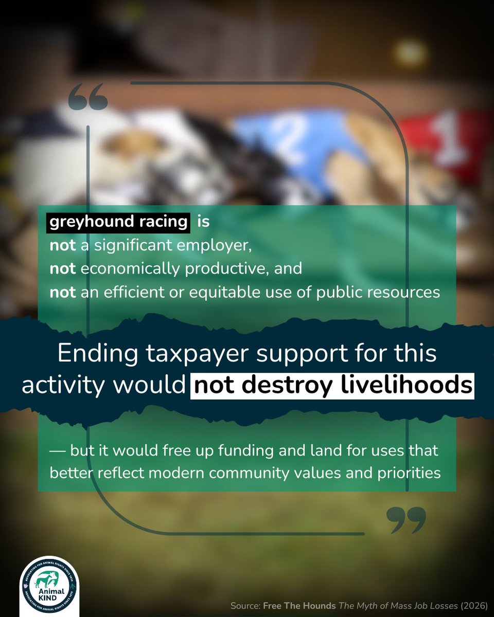 AnimalKIND tweet media