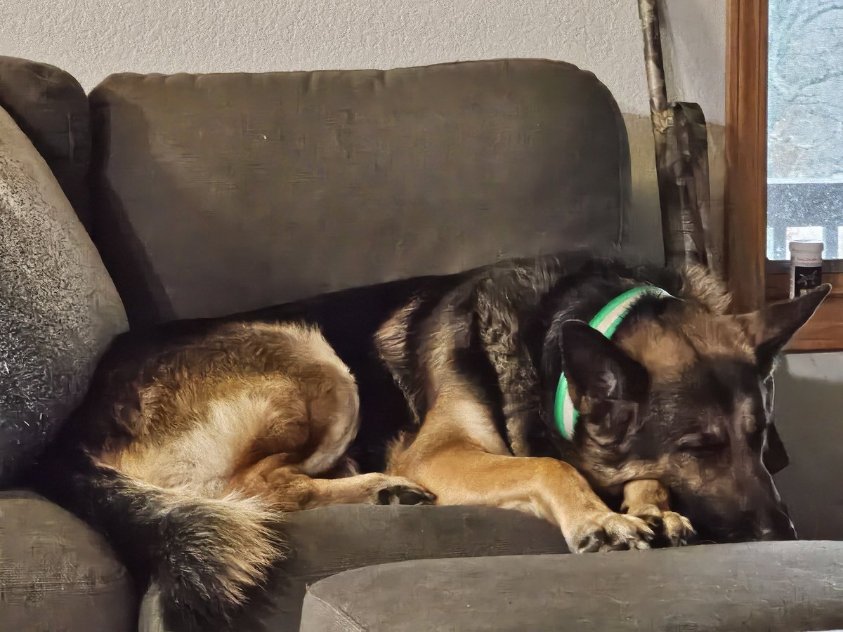 Andi Watson tweet media