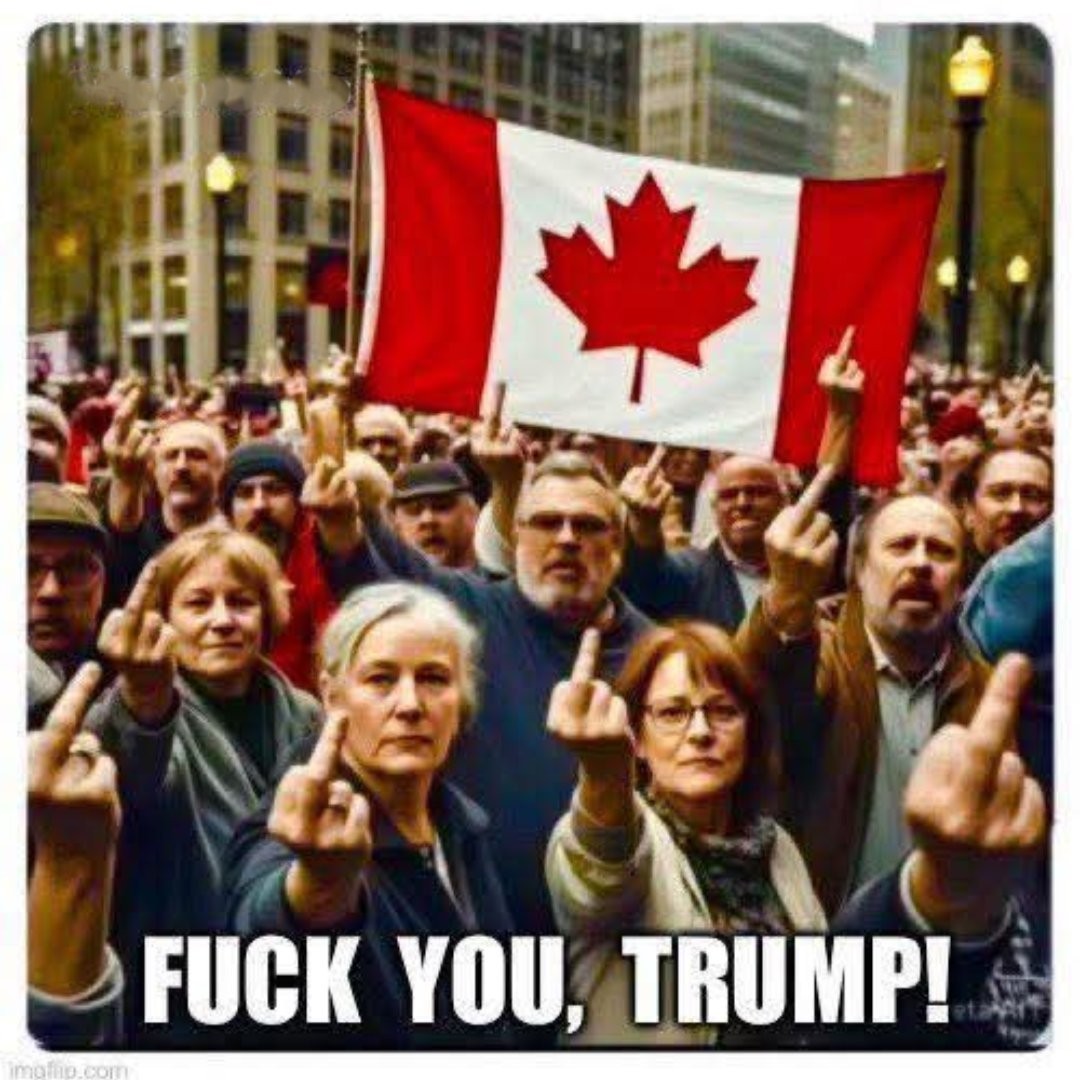 Shanedogwinnipeg tweet media