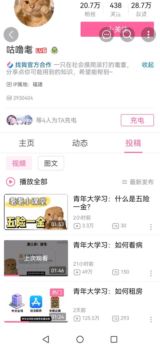 繁律 tweet media
