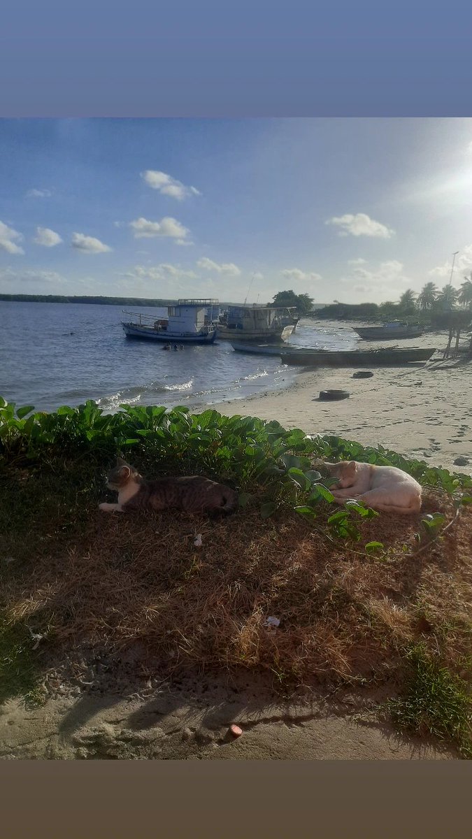 ITSTLHS's tweet photo. Praia vazia é bom de mais, tentar ir nesse trem de novo. https://t.co/5sWlV0qQkR