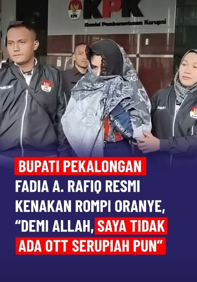 Kasus ini sederhana sekali.

Suami dan anak dari Bupati ini punya PT, namanya PT RNB, Raja Nusantara Berjaya. Lantas PT ini dapat proyek outsourcing dari Pemda (yang puncak keputusannya ada di Bupati).

Banyak sekali proyeknya. Setidaknya ada di 17 berbagai instansi dan perangkat