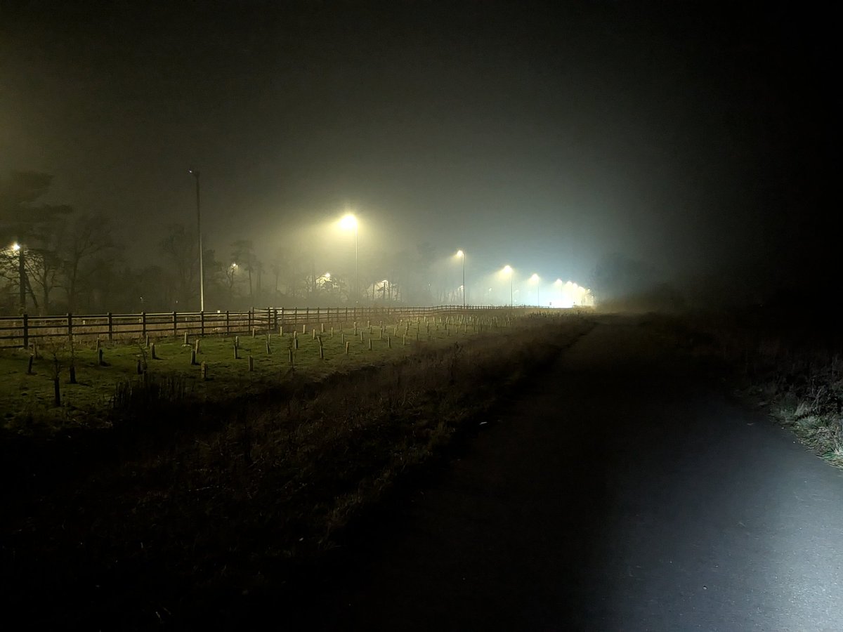 Vic Flores 🦊 tweet media