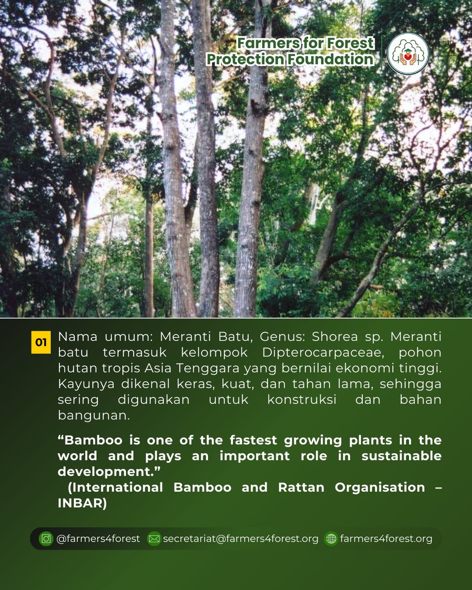 Farmers 4 Forest (4F) tweet media