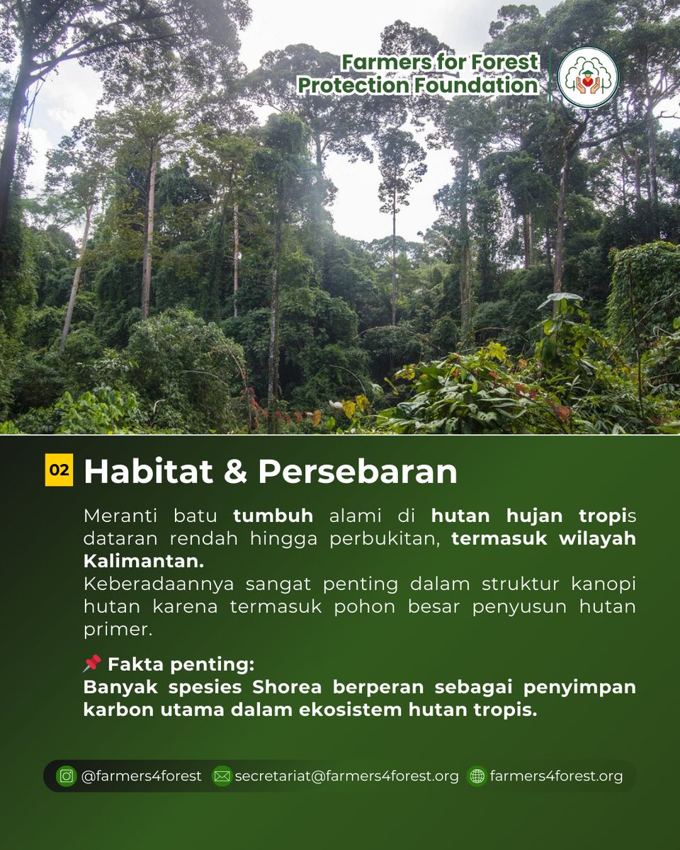 Farmers 4 Forest (4F) tweet media