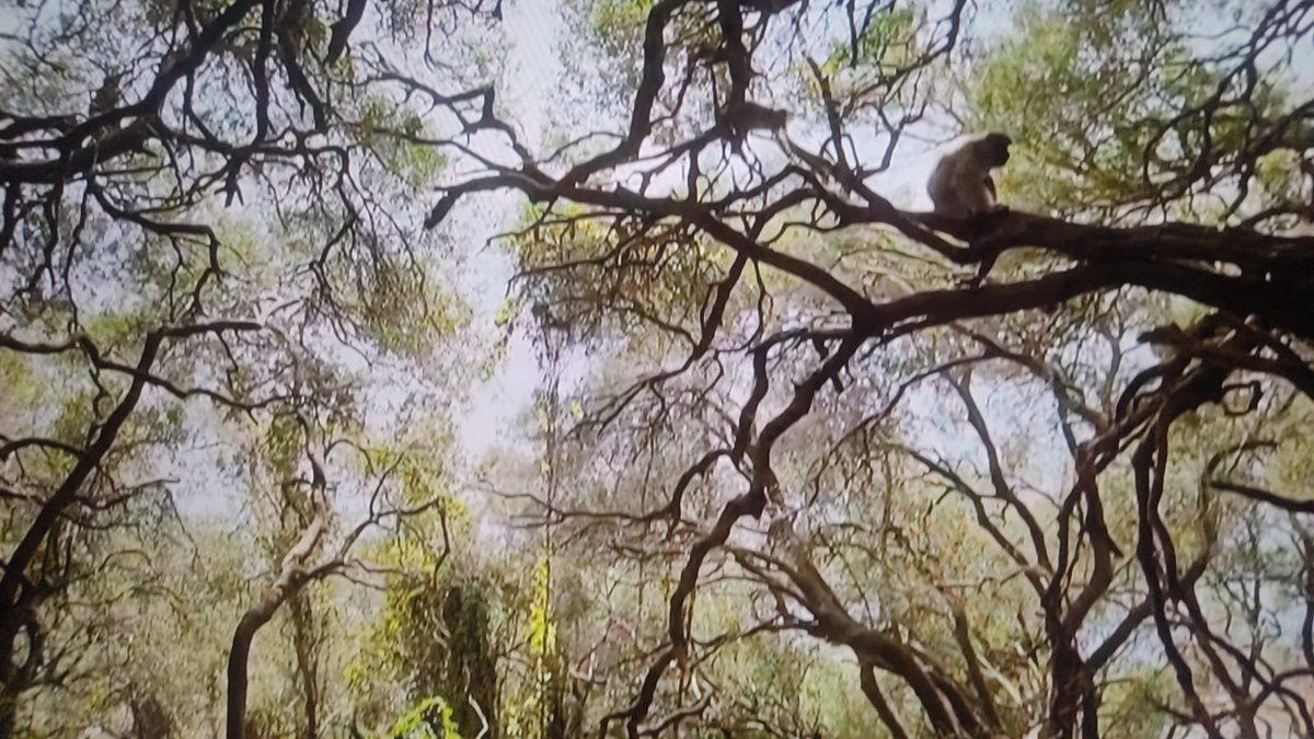 @Jemaco40 tweet media