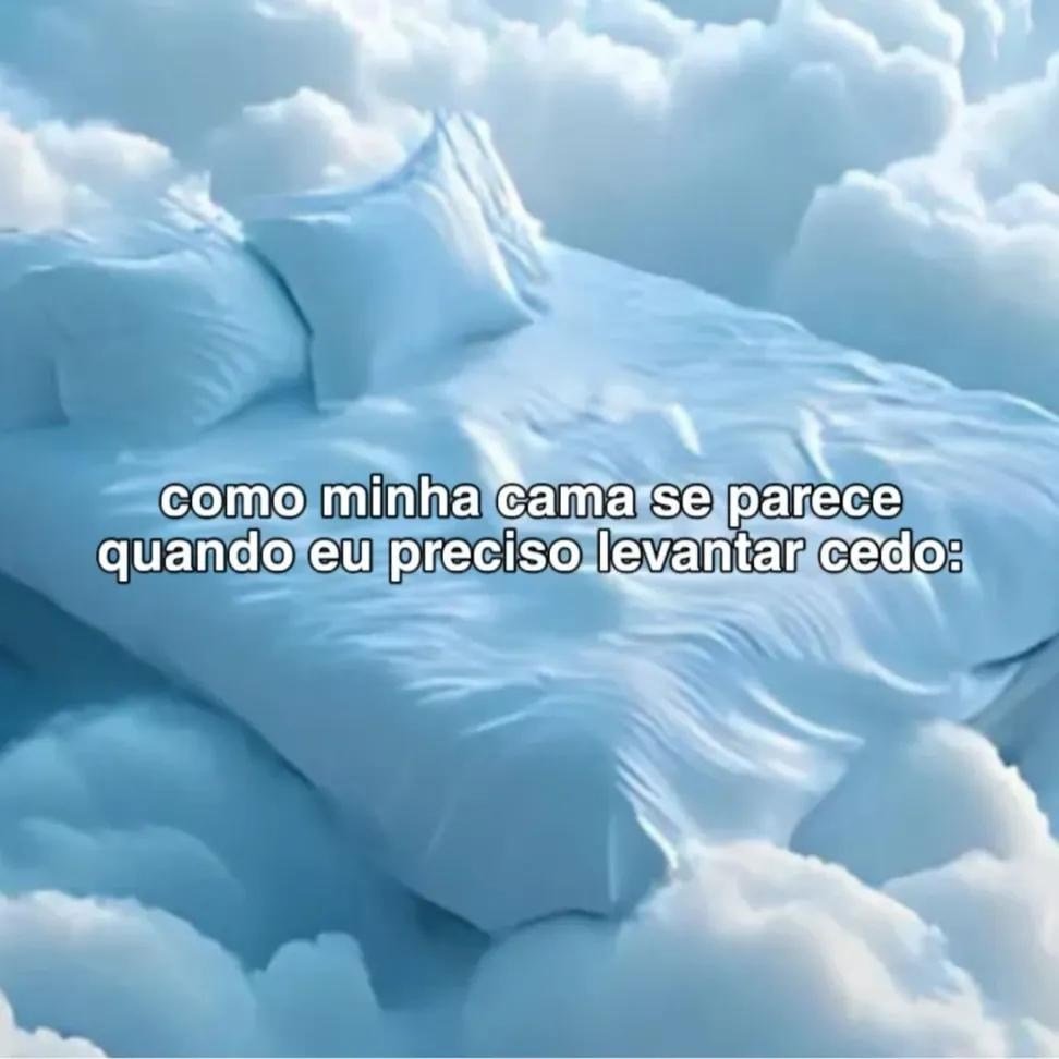 perfil dedicado a gatinhos e peitos tweet media