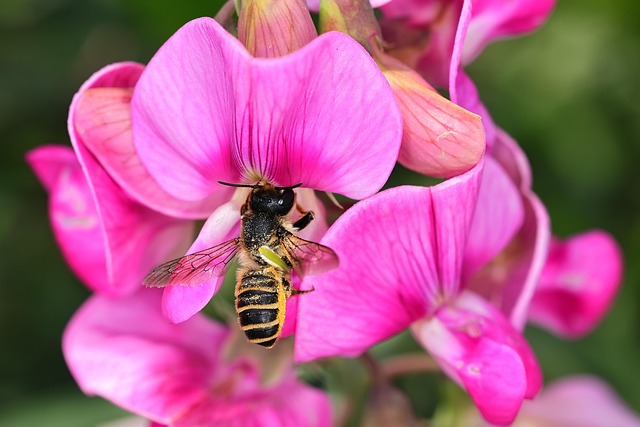 WinfredP13112's tweet image. 📈 새로운 방식이 필요해요 sáng kiến mở ra hướng đi mới المبادرة تصنع الابتكار

#SustainableWellness