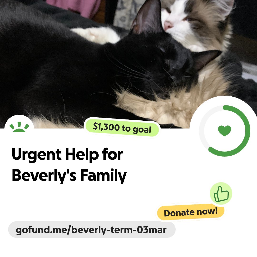 beverly anne michel (author) tweet media