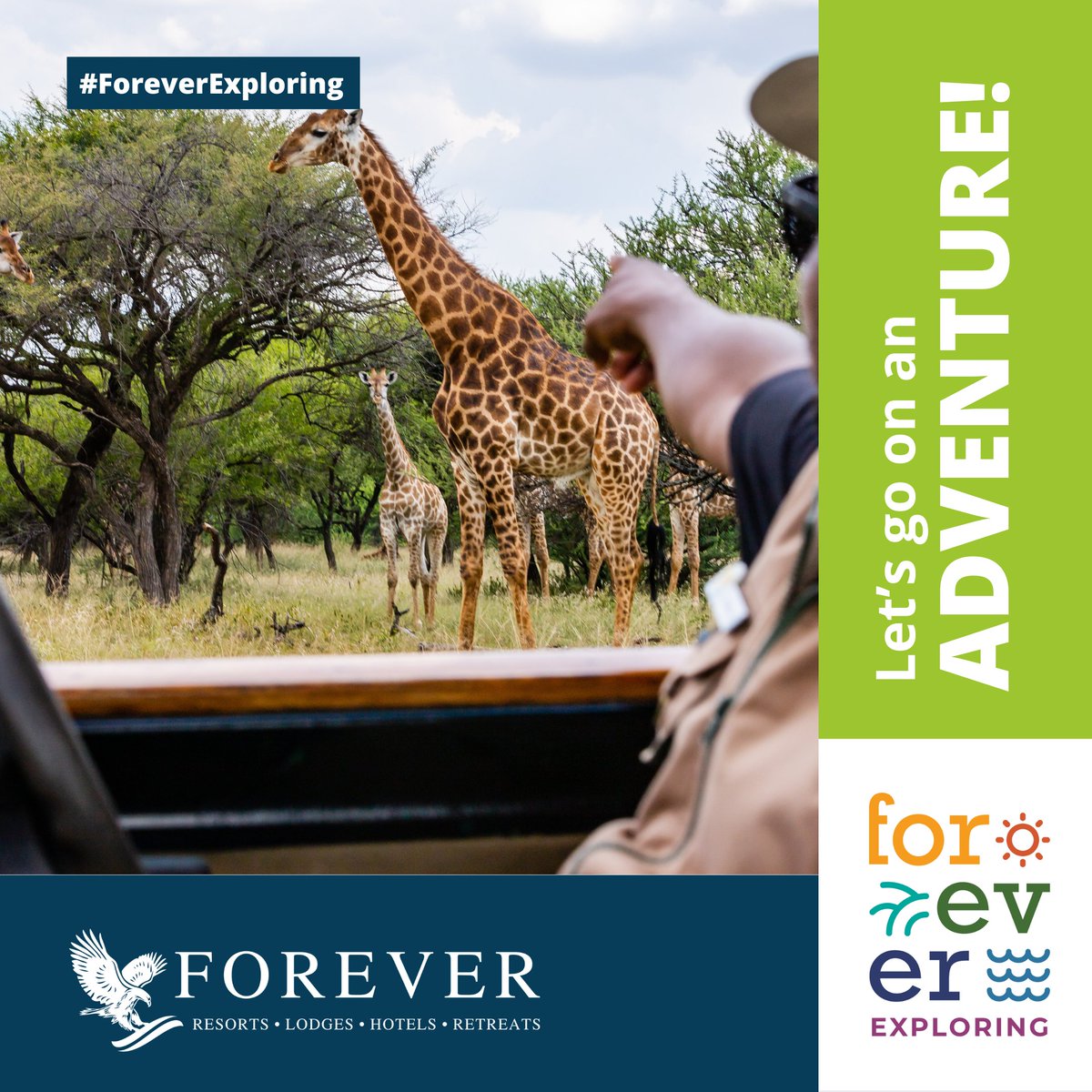 Forever Resorts South Africa tweet media