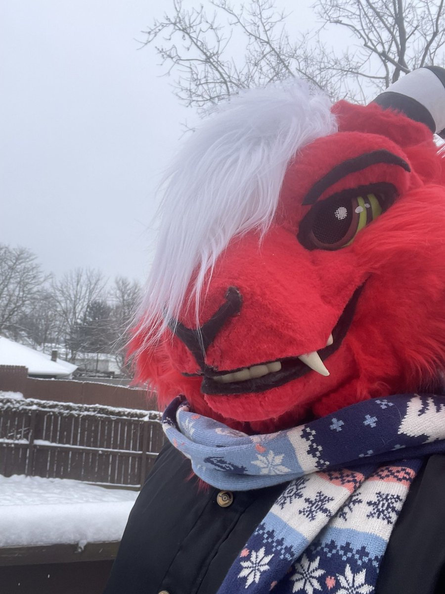 Cavvy Devil / Verati tweet media