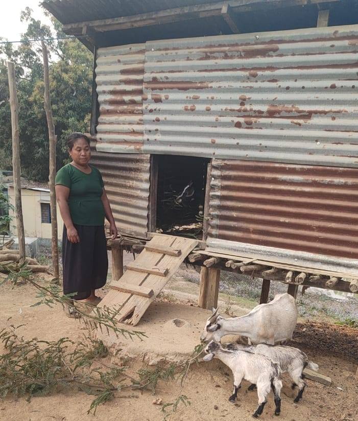 TripuraSRLM's tweet image. Project TRIPTI of #TRLM..
Sondi Rung’s story is a true example of resilience, hard work, and how timely support can transform rural livelihoods.
Sondi Rung #Reang didi, wife of Dengaray Reang, lives with her family of three in Rambahadur Para under South Tuisama. Through the