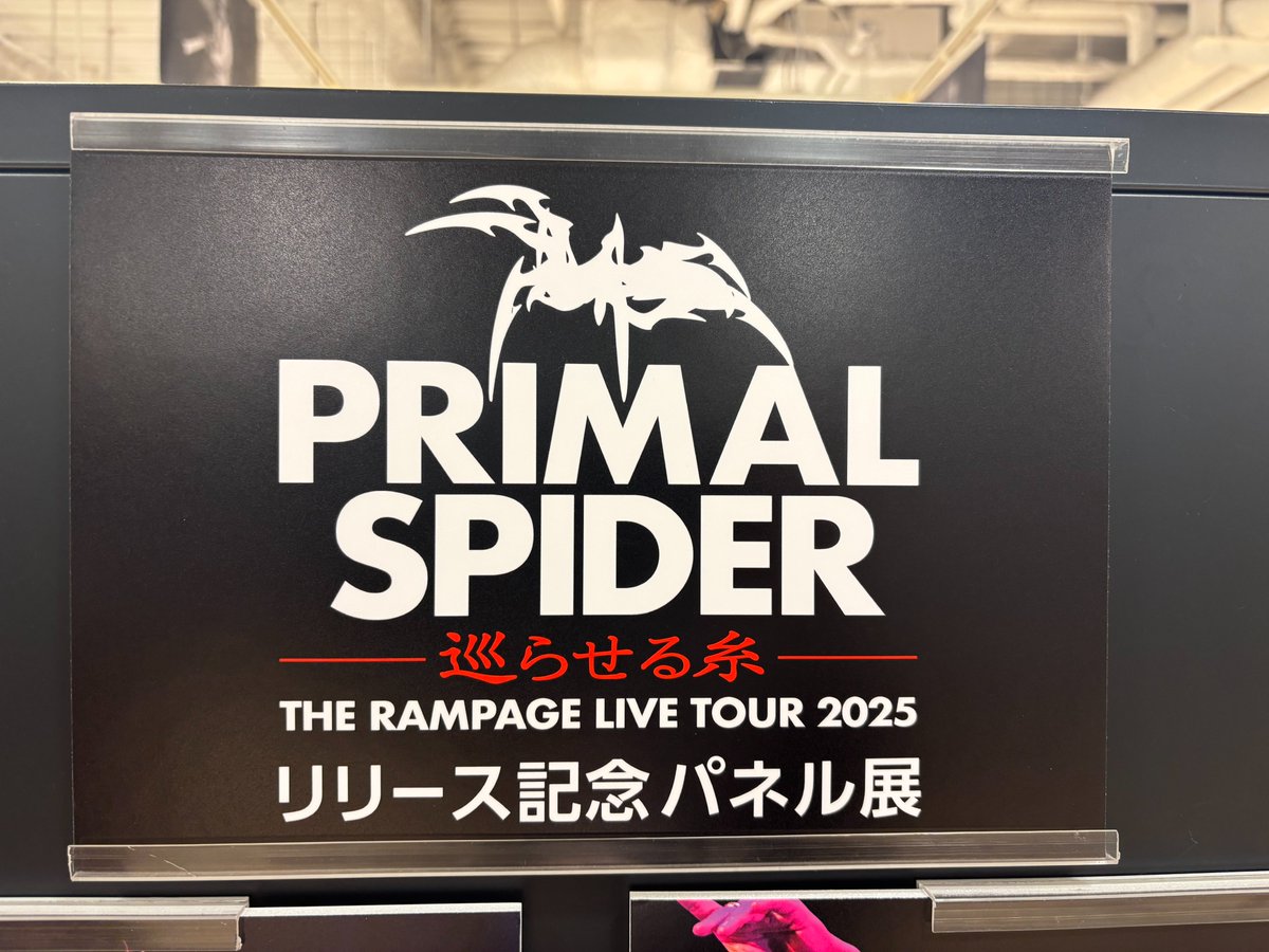 藤原樹 PRIMAL SPIDER 巡らせる糸 パネル A4サイズ 🕸️THE RAMPAGE🕸️】 THE RAMPAGE LIVE TOUR 2025 