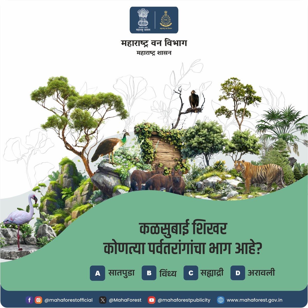 Maha Forest Official tweet media