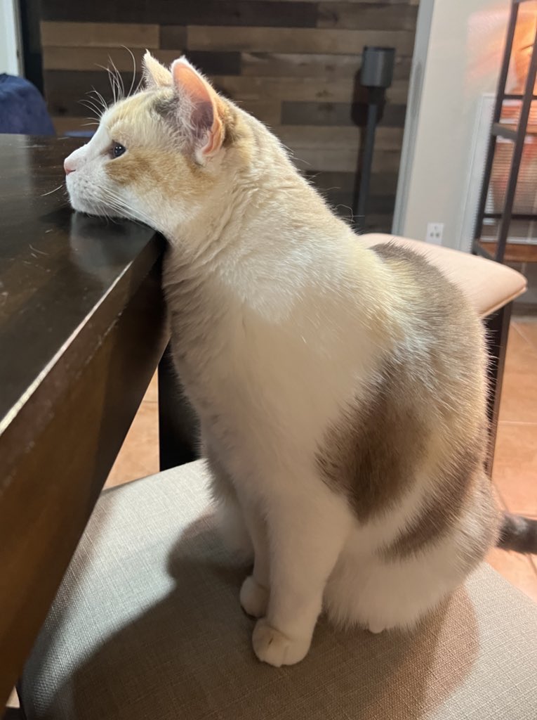 kovalentino (@kovalentino46) / Posts / X
