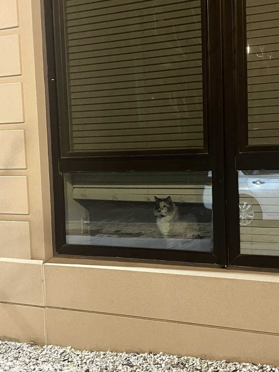 jules ☆彡^_−☆ tweet media