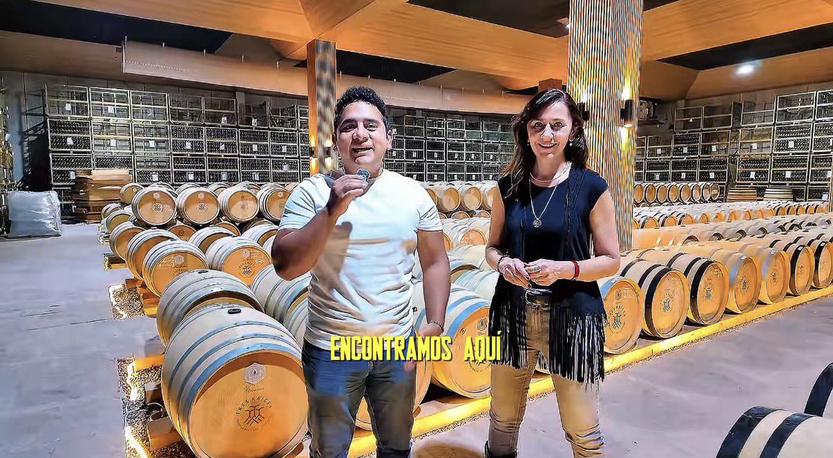 Cooltura&Tourismo tweet media