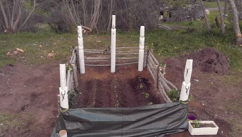 New Zealand Taxpayers' Union tweet media