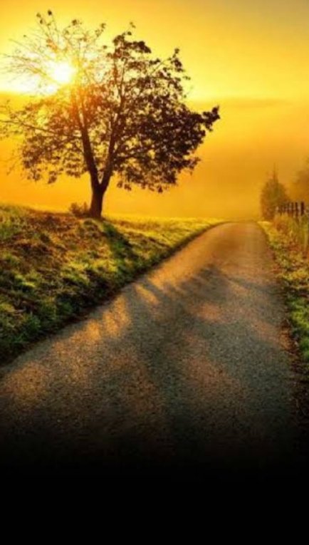 Modern crypto signals tweet media