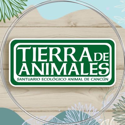 Tierra de Animales AC tweet media
