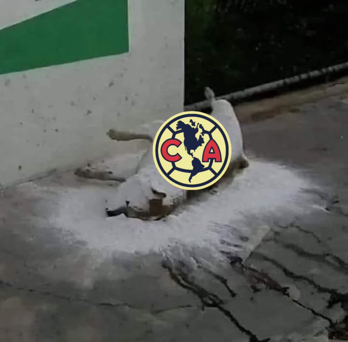 El América perdió en casa contra Juárez JAJAJAJAJA NO MAMEN