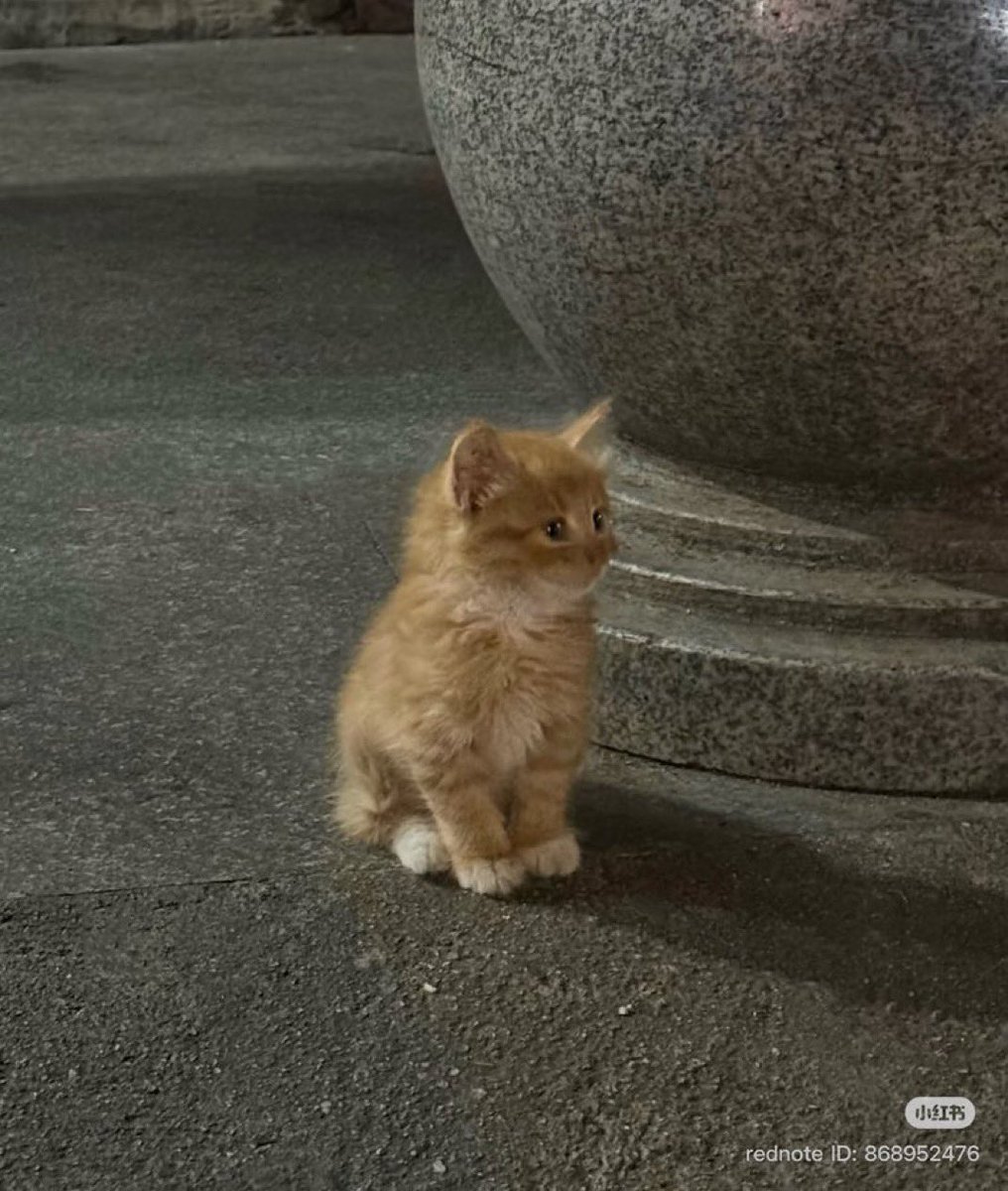 집 구하기 위해 알바 찾으러 다니던 코네코 윳냐이 ..