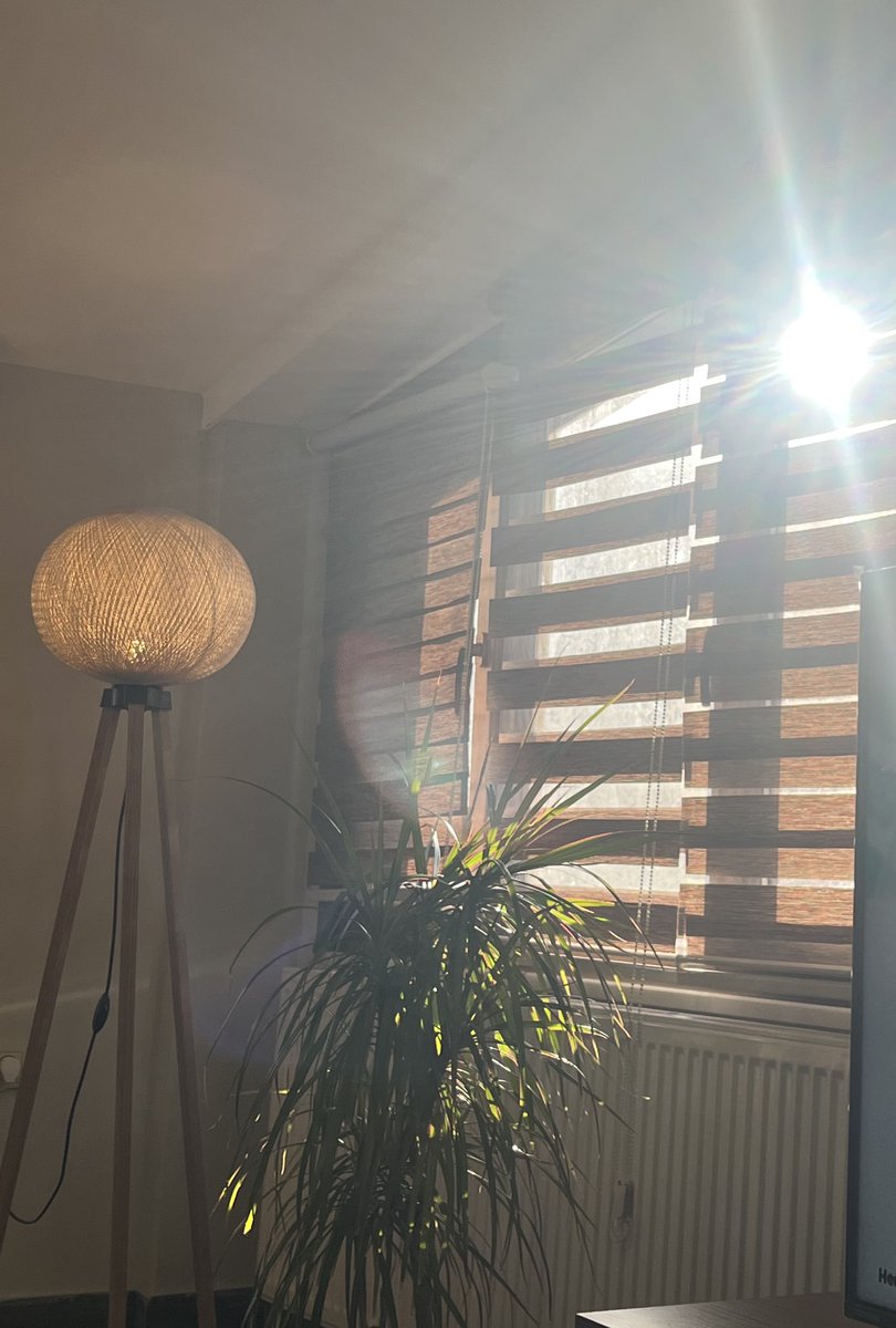 عبدالله المطيري tweet media