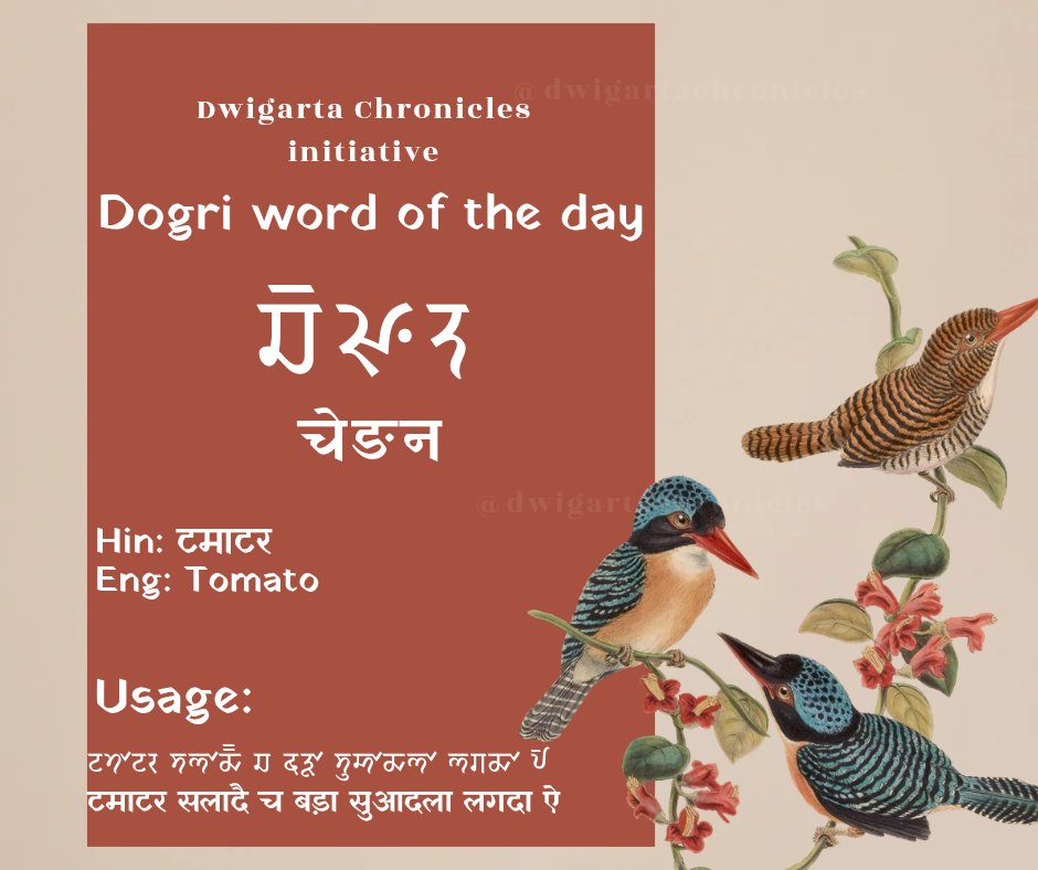 Dwigarta Chronicles⚡️𑠛𑠹𑠦𑠭𑠌𑠬𑠤𑠙 tweet media