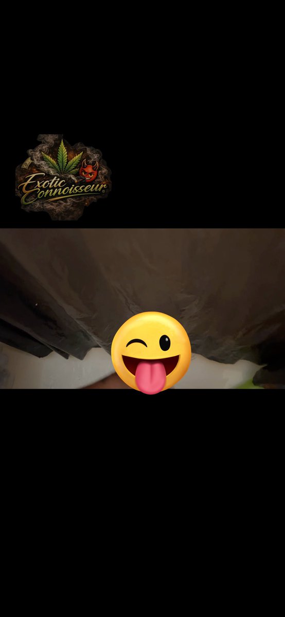 TheeExoticSmoke's tweet photo. Filmed a solo short clip in tha shower! ๐New subs to my Free OF get the full vid!! https://t.co/fAfwiAZ47C #FreeOF #OnlyFans #559Freak #NSFW #SoloShower https://t.co/vy7jts8m6u