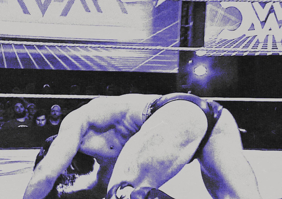 Belgique’s Bruiser. ✴︎ tweet media