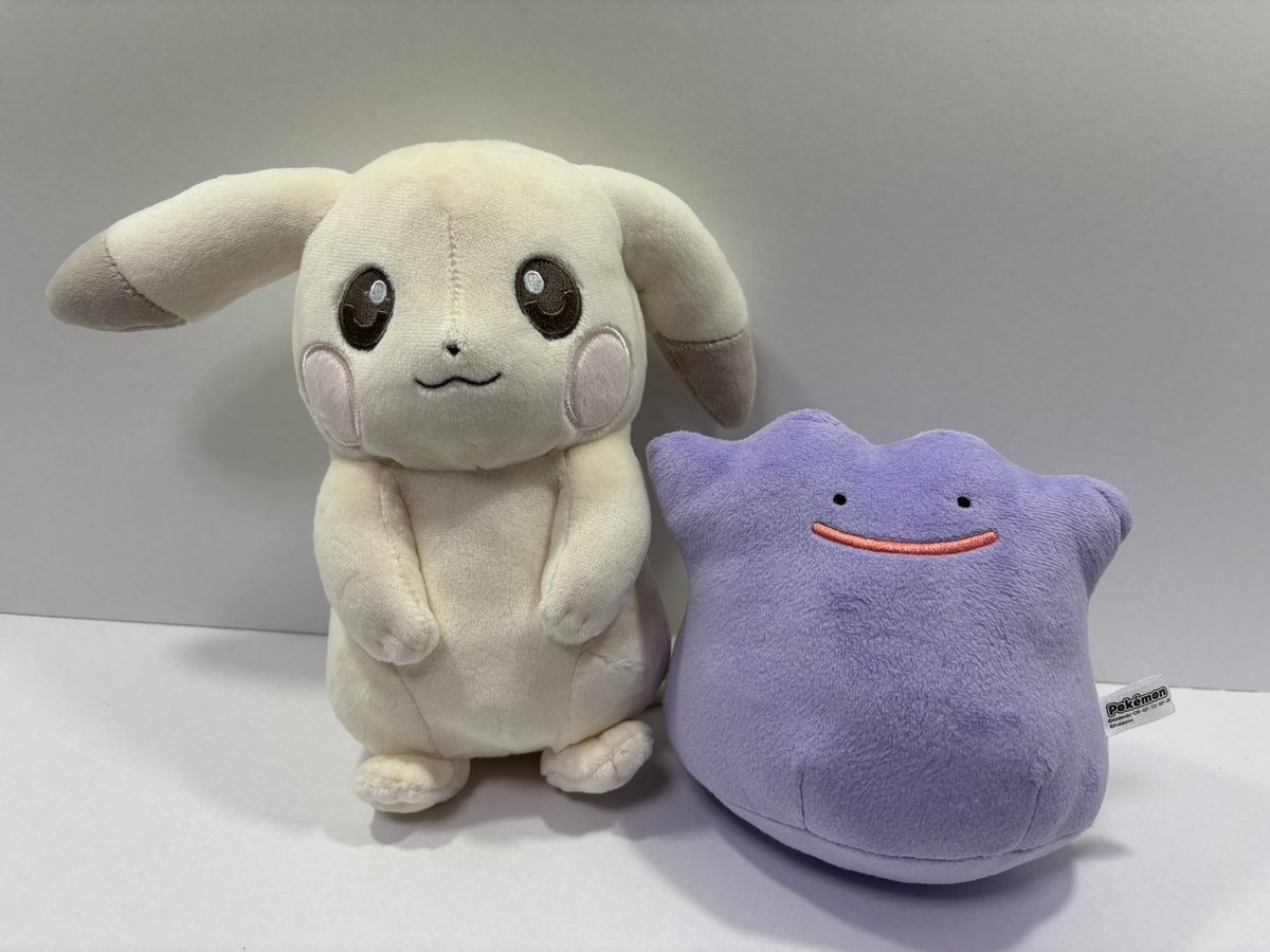 kuhotaka's tweet photo. かわいい https://t.co/1HP6ExZ7kV