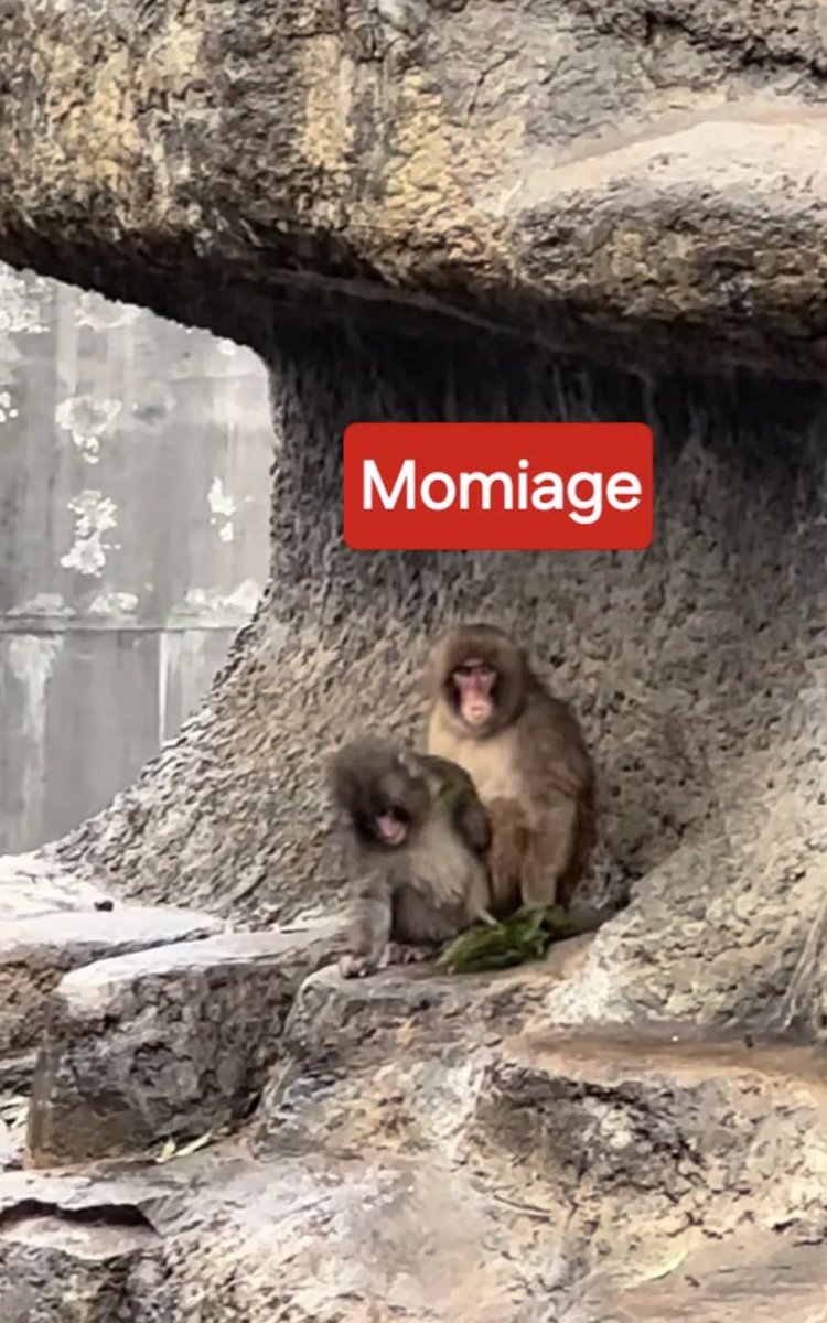 Trending Ants tweet media