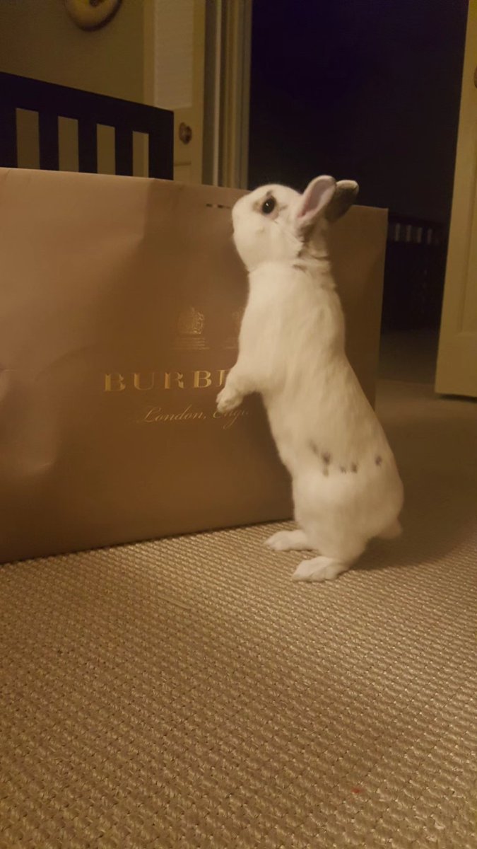 Dan J Kroll tweet media