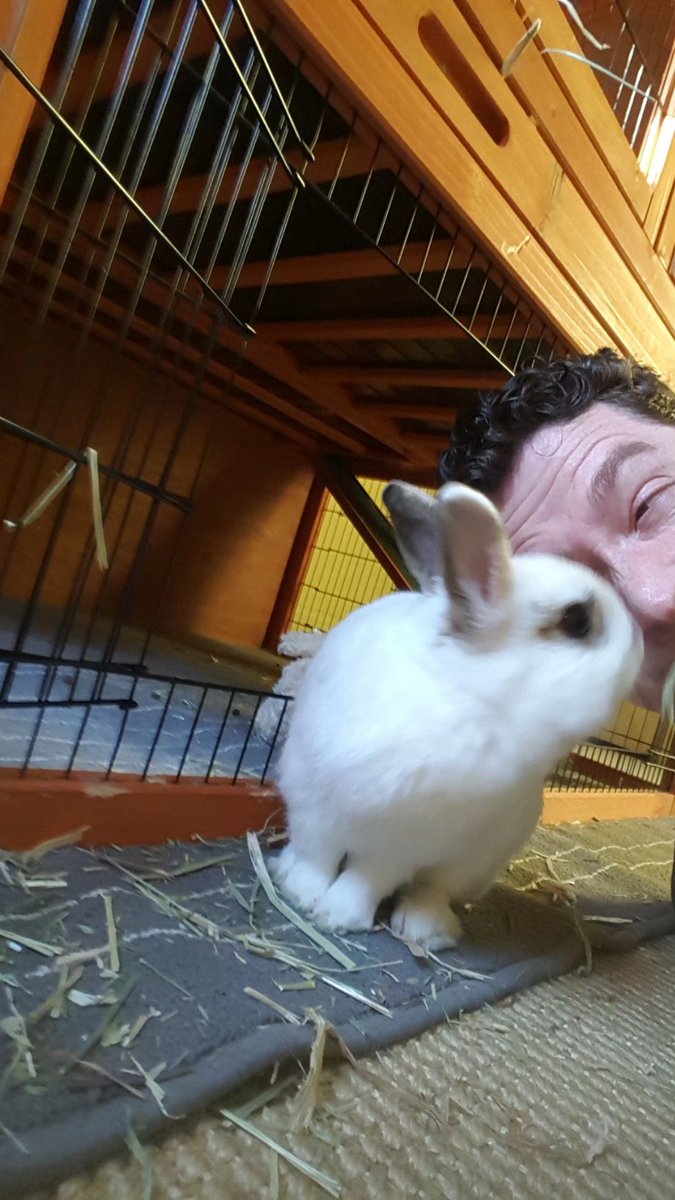 Dan J Kroll tweet media