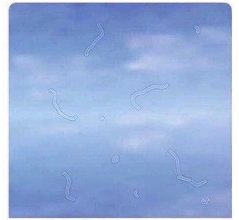 𝙺 𝙻 𝙰 𝚄 𝚂🧛‍♂️ tweet media