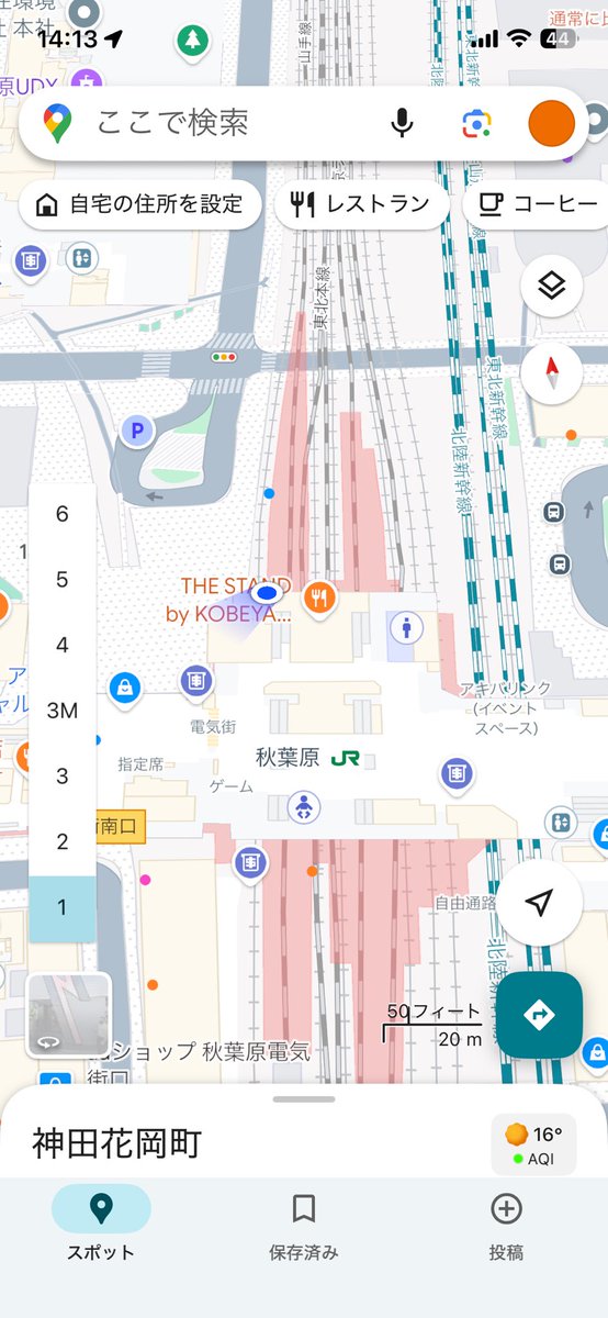 おっちょ~🌲 tweet media