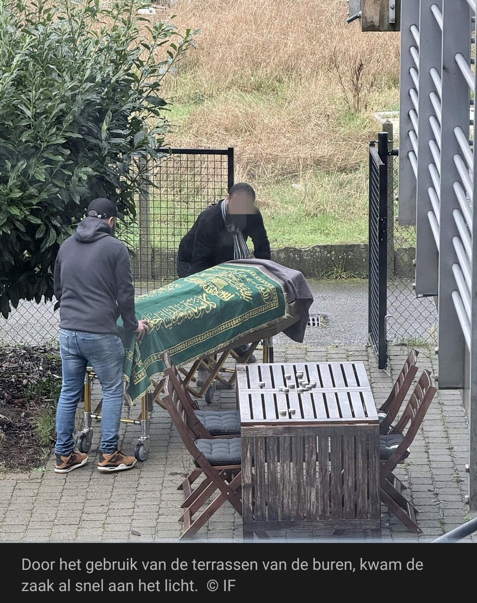 Dirty Harry🐇🕳️ tweet media