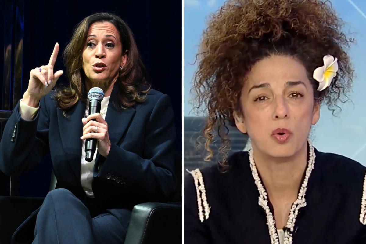 Iranian-American activist torches Kamala Harris: 'Who are you?' trib.al/oBqgNux