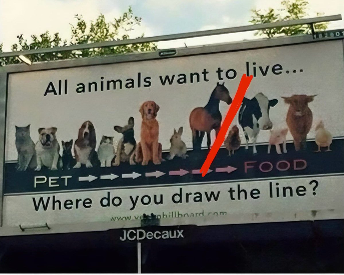 X Freeze tweet media