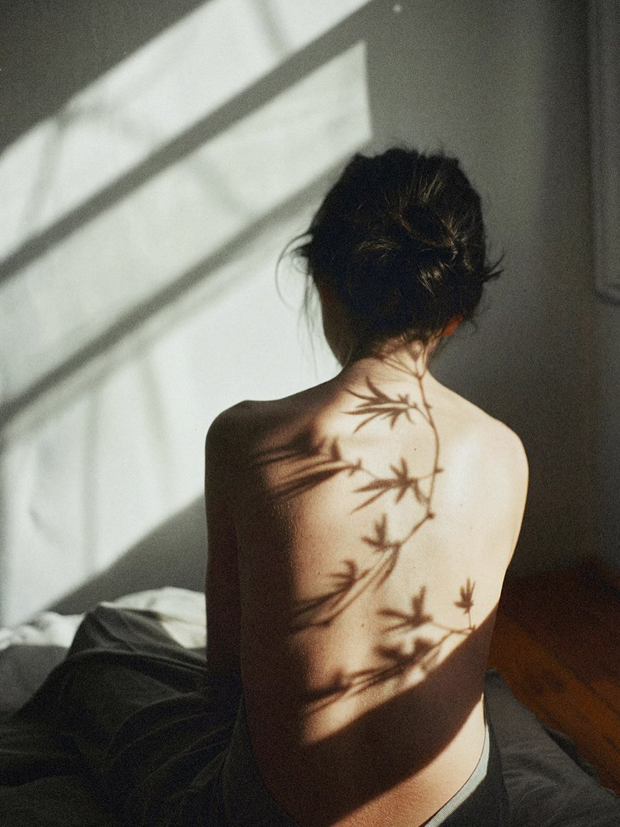 Noiteeluar tweet media