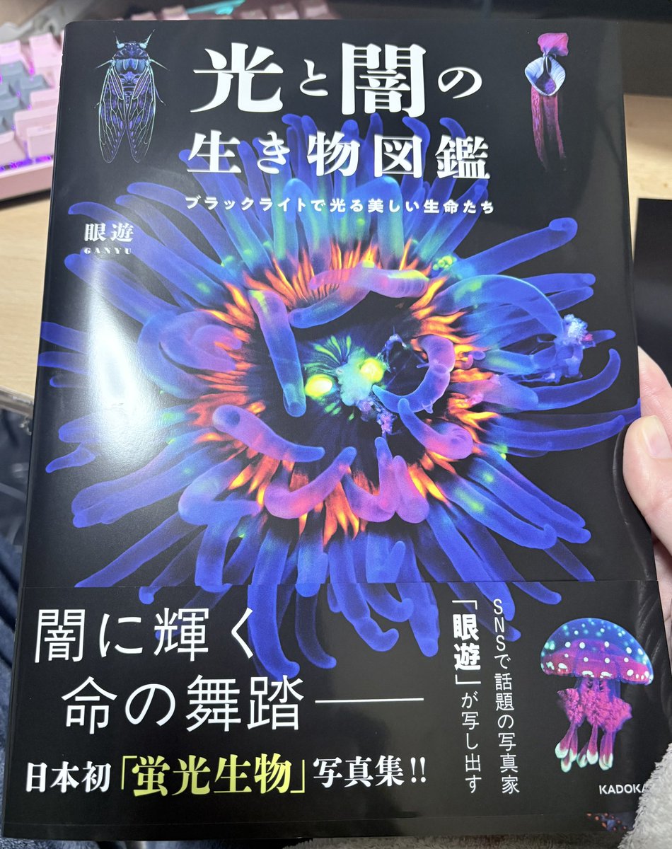 めっちゃ良い本 @ganyujapan