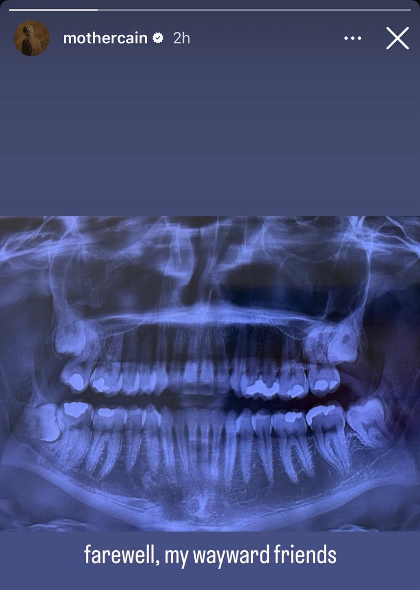 Ethel Cain Data tweet media