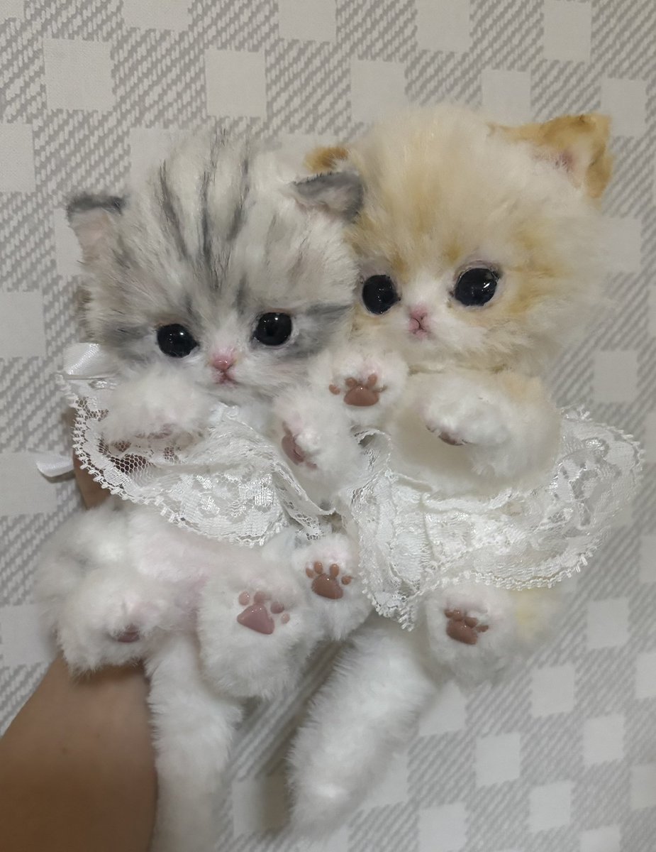 2にゃんず完成ー♪♪ #ハンドメイド #アートドール #子猫