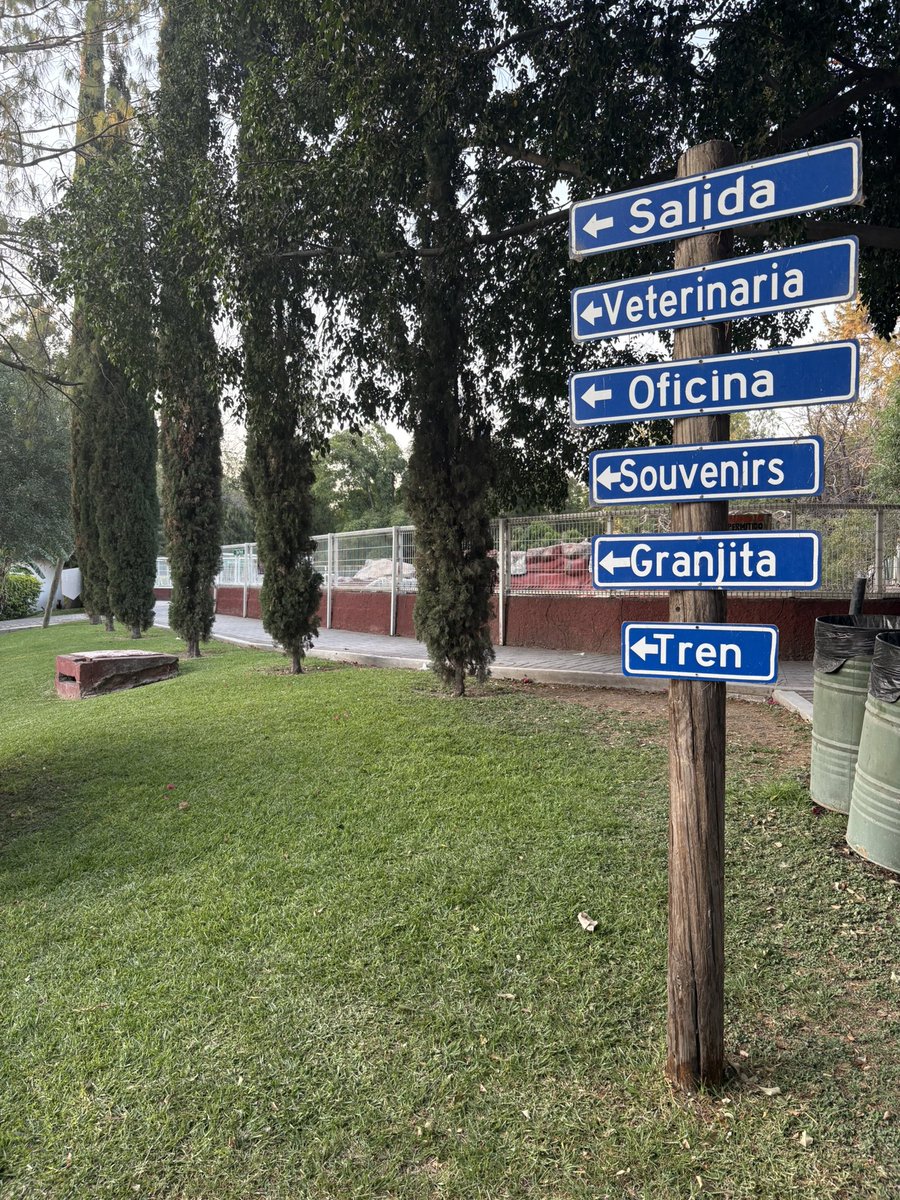 Una tal uBaby_Mochi fuera de Twitter