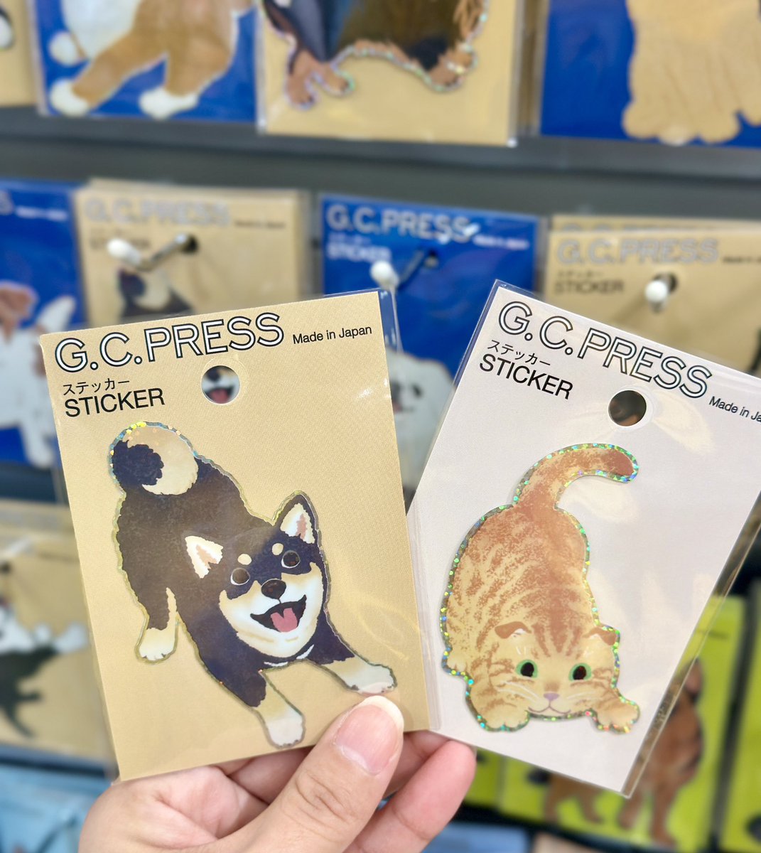 V6 ステッカー　写真集　groove グッズ　Guys バッグ　セット　匿名