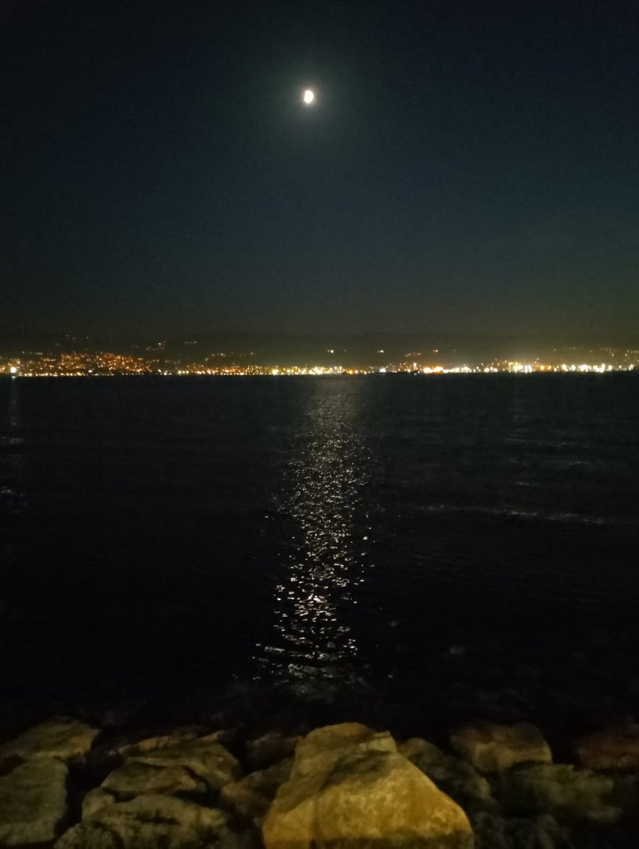 “Farkında mısınız bilmem, kimse kendi acısını bile duymuyor artık.
Kimse bir başkası için kederlenmiyor.
Birbirine ihtiyacı olanlar özenle uzak duruyor birbirinden. Küçücük çocuklar bile yalnızlığın bilimini yapıyor.”

• Şükrü Erbaş